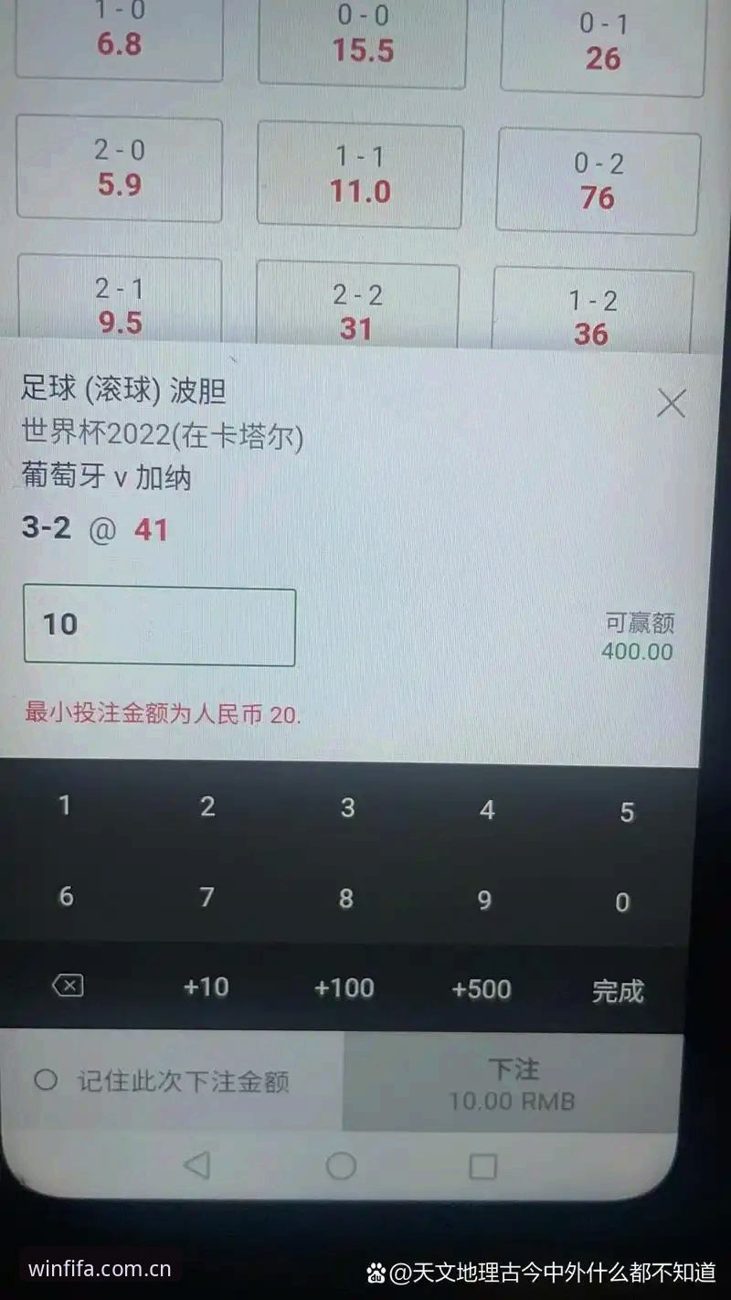 世界杯下注平台实战深度分析：从官网投注到赔率查询的全流程解析